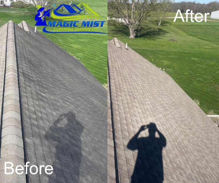 Roof Cleaning Company in Zanesville, Ohio